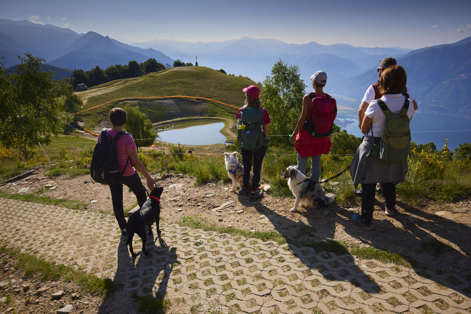 Deep Films Cardada AlbaBrunch 42