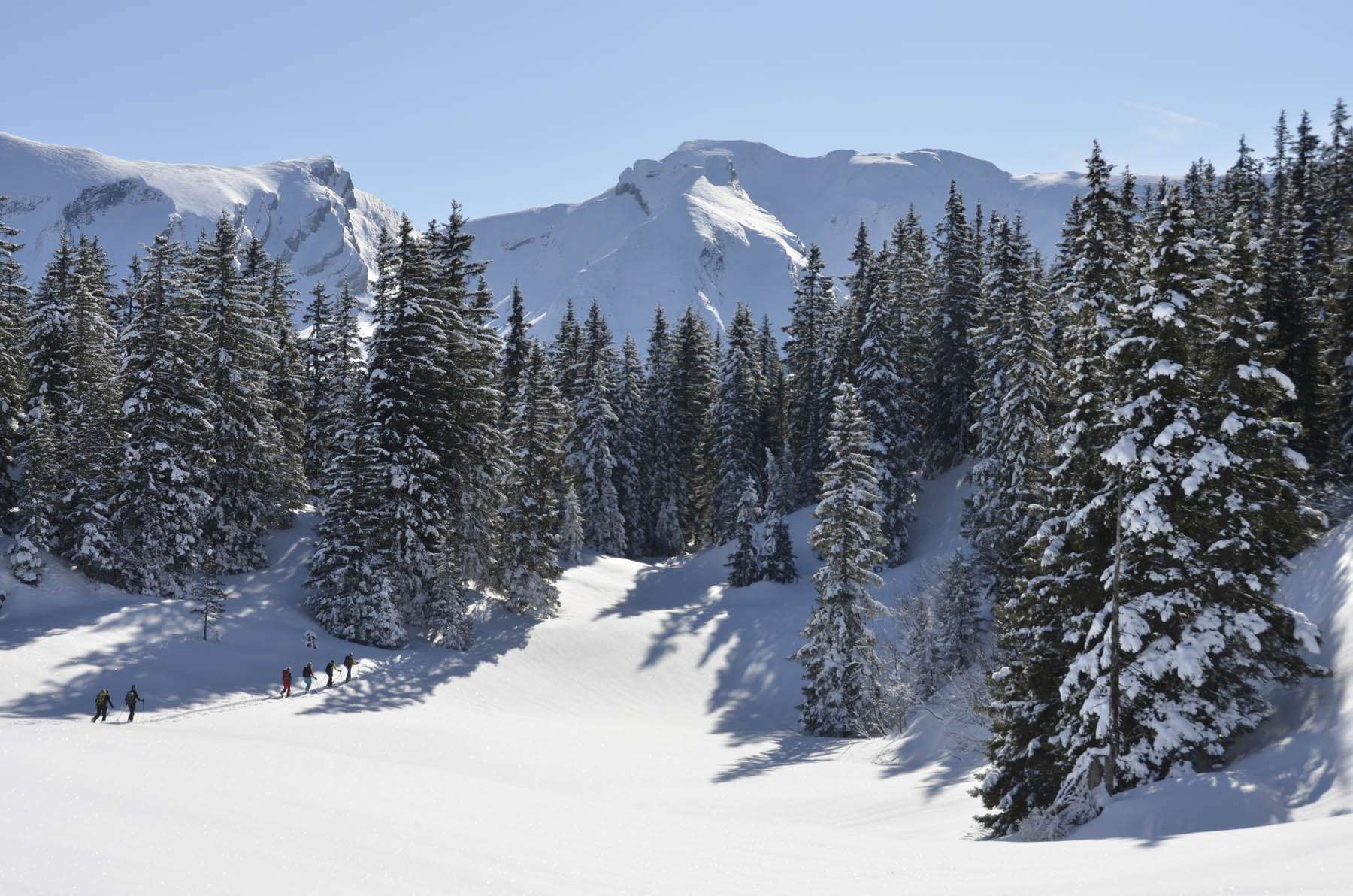 Schneeschuh Foerstertrail 002