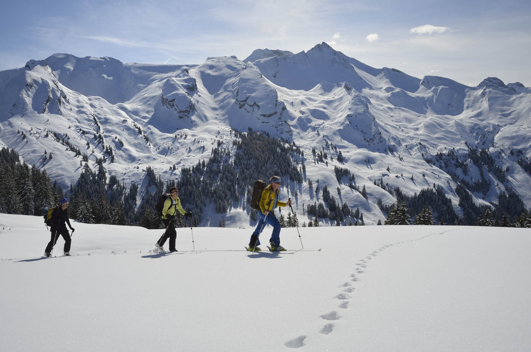 Schneeschuh Foerstertrail 003