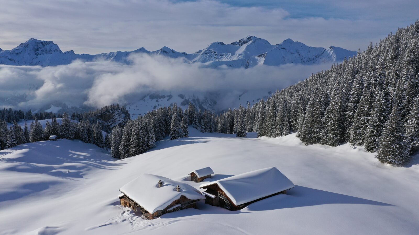 Frutigen Elsigenalp Sven Allenbach ©Tourismus Adelboden Lenk Kandersteg