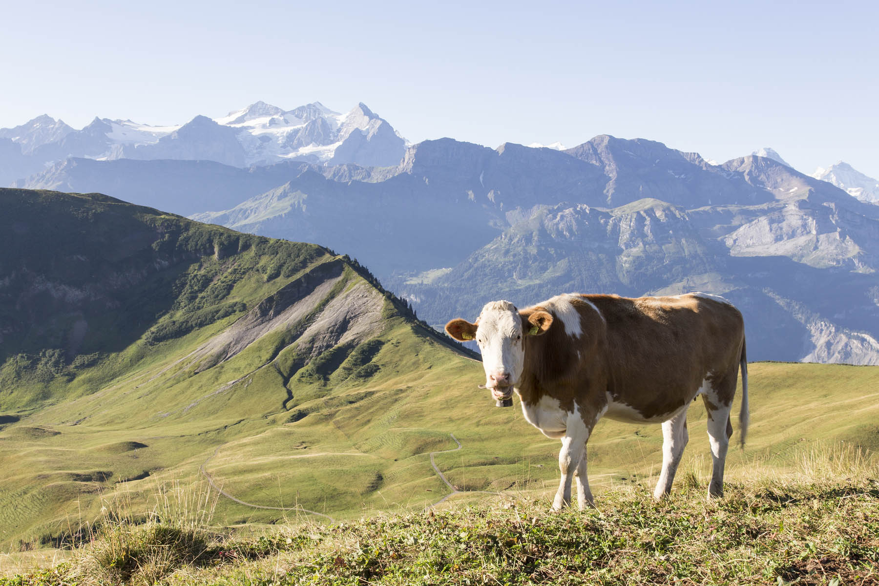 Lungern Turren Bahn 007