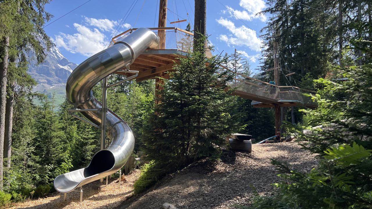 Baumwipfelpfad Maennlichen Sommer 9