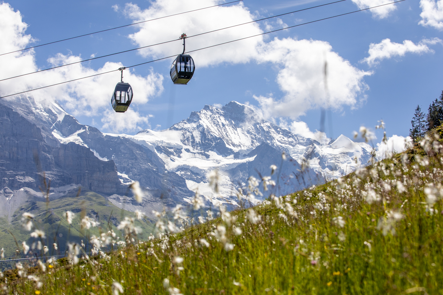 Gondelbahn Grindelwald Maennlichen AG 003